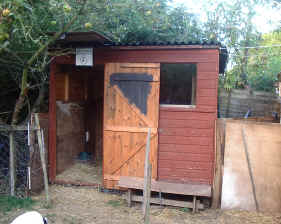 Photo: Henry and Joey's shed